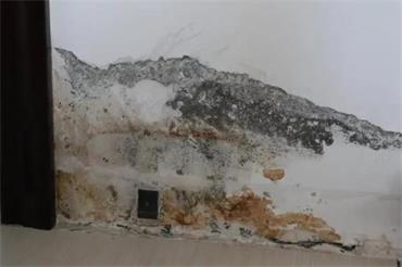 1695395433123366.jpg 微信截图_20230205143320.jpg