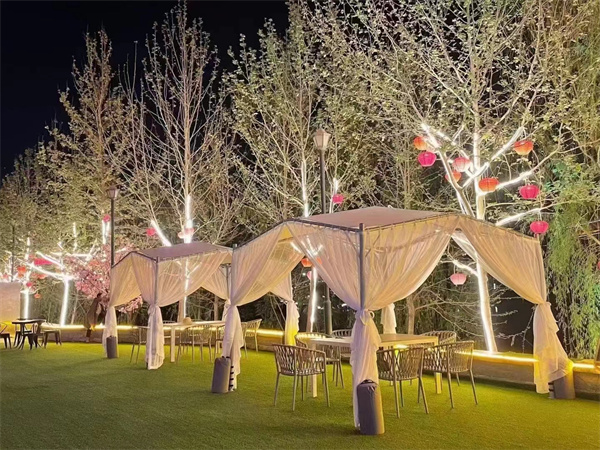 1713446549962739.jpg 微信图片_20240418202245.jpg