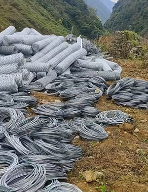 1769500418978562.jpg 2.jpg