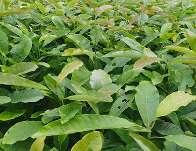 1774413280921331.jpg 1.jpg