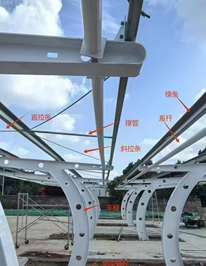 1775813352672495.jpg 3.jpg